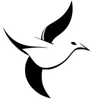 Boring Birds logo boring birds logo